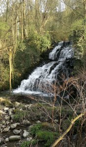 FLOREFFE (20) - Copie