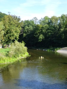 P1010472 - Copie - Copie - Copie - Copie