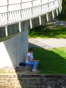 P1010563 - Copie (2) - Copie - Copie - Copie