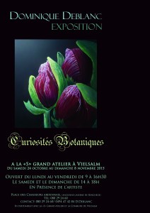 curiosités_botaniques_affiche