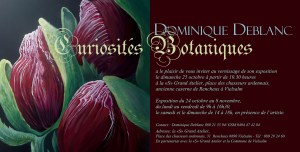 curiosités_botaniques_invitation