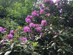 FOLON BALADE AQUA 21 MAI 2016 (11)