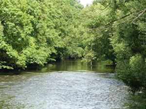 13895445_1725636857685351_9041791180812248092_n