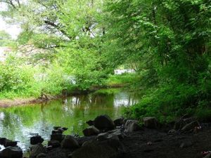 13902652_10208585899718272_6102789150082445651_n